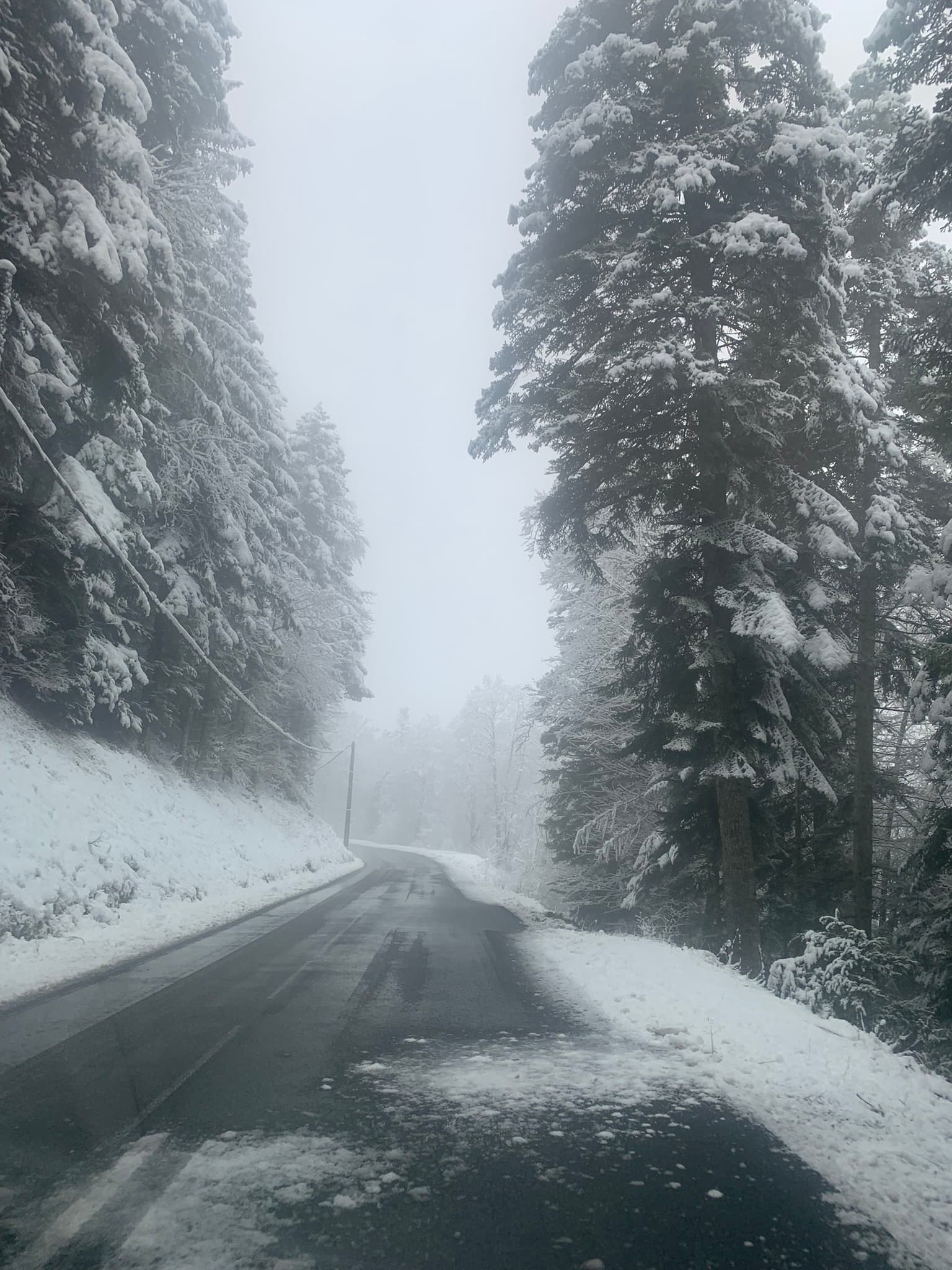 the road